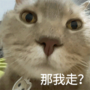  表情包喵星人表情包27张猫表情包