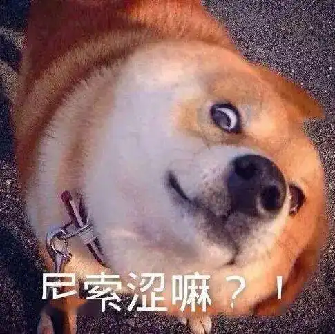  沙雕表情挎起个小猫批脸