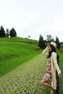  这一次,我选择的城市台湾