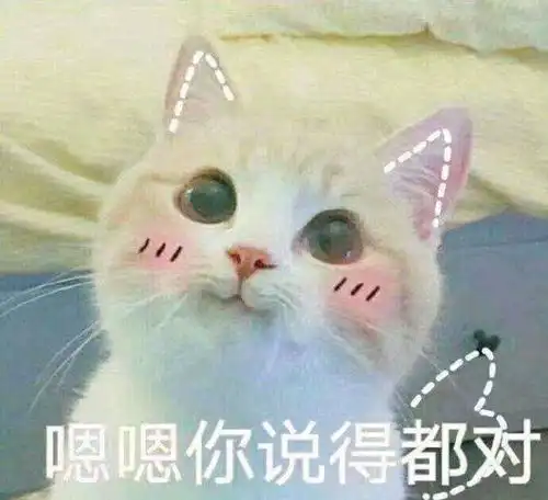  猫咪液化会变成什么样的形状一滩猫你听过吗
