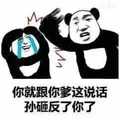  爸爸系列斗图表情包翅膀硬了,和爸爸顶嘴了