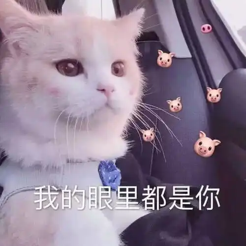  惹对象生气了,试试这5张表情包,比对不起管用1000倍