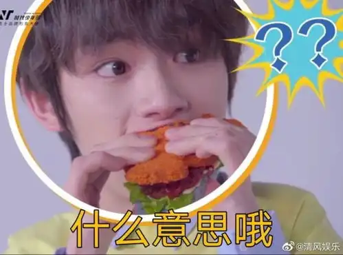  时代少年团丁程鑫表情包合集