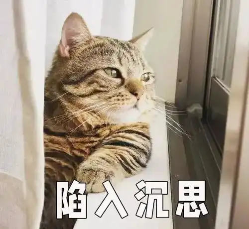  外卖cps公众号用什么运营工具最好