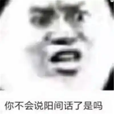  宝藏熊猫头的搞笑表情大全