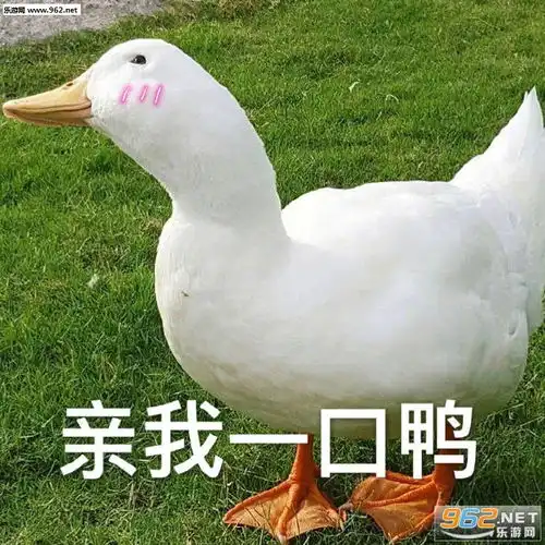 带我玩鸭鸭鸭图片刚下班鸭可爱鸭鸭表情包下载乐游网游戏下载
