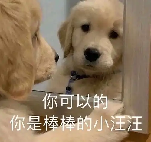 沙雕狗子表情包斯大林格