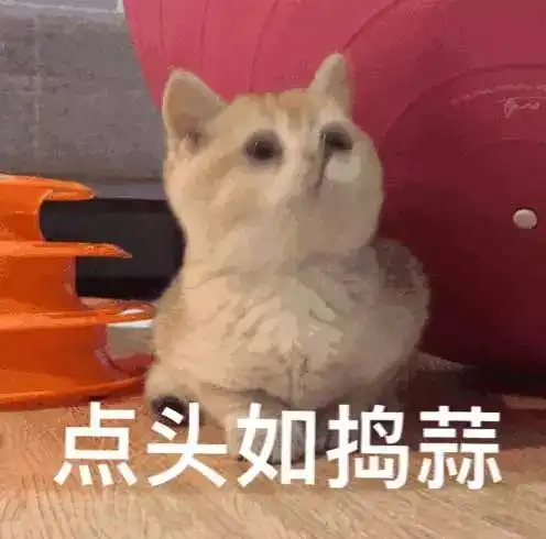  吃喝玩乐五折起收好了,双十一别人剁手你赚钱的方法就在这里