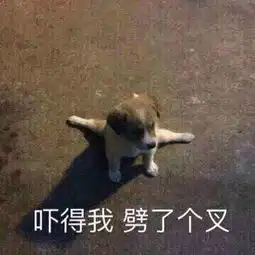  洛溪视频直播全集洛溪资料大全yy官方