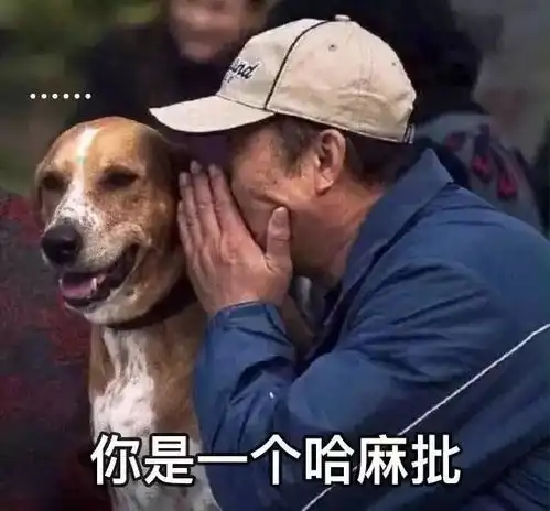  一加6外形材质曝光支持无线充电