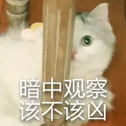  猫咪巨凶表情包