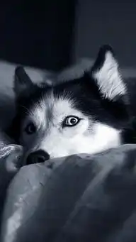 在高中喜欢的人是什么样的 在高中喜欢的人是什么样的