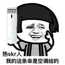 edg是什么意思表情包skr