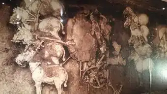  西安兵马俑jul.27th28th