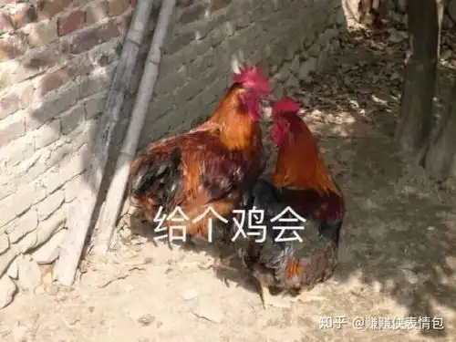  必备表情包图片帮你优雅的怼人,骂人不带脏字