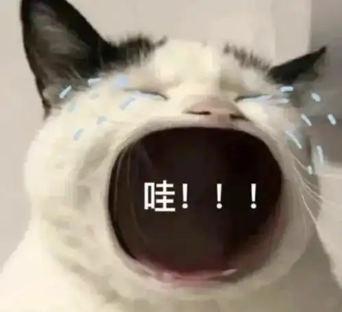 豚鼠特工队表情包亮剑2