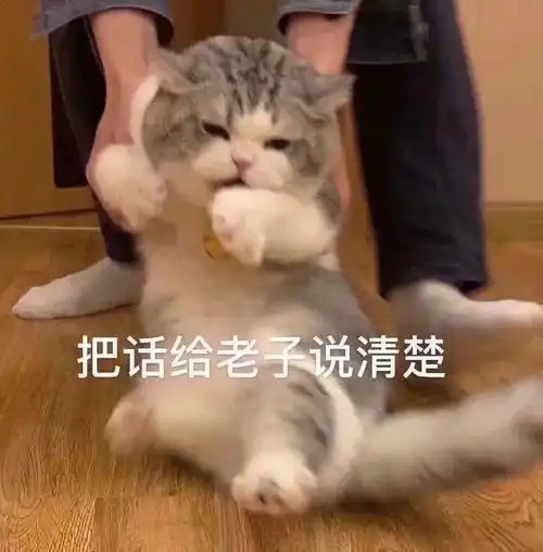  表情包丨tui的就是你