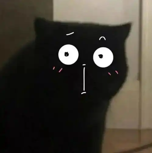  最萌文物出土5件猛男纯金猫爪,神评亮了...