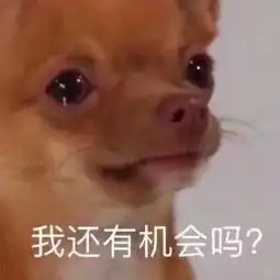  别以为你们偷我的表情包,我不知道,斗图的时候你就知道我的厉害