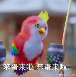  楚乔传鹦鹉表情包楚乔传鹦鹉楚乔传鹦鹉表情