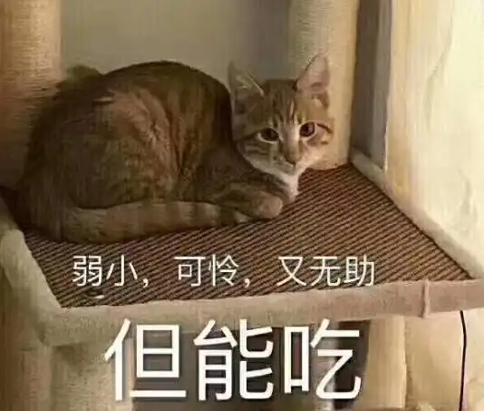  ai如何改变未来也许广告狗们已经提前知道了