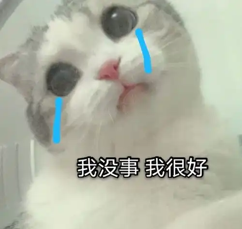 晚上好表情图搞笑的表情