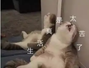  租房常住人口可落户,你向往在哪座城市定居