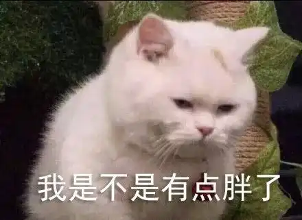 龙年表情包新年快乐