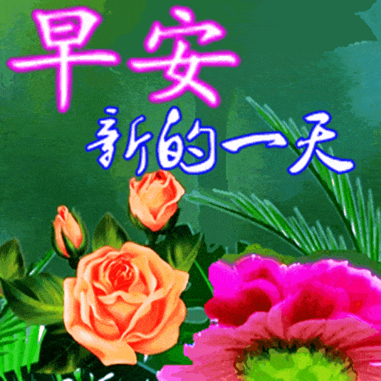 早上好表情包,真诚的友谊,是世间最美好的东西