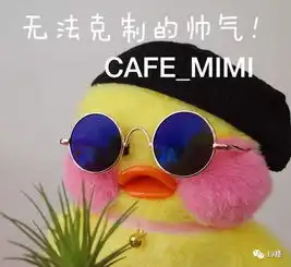 什么鬼表情包gif鸭笑