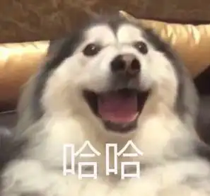 沙雕狗子表情包小婷