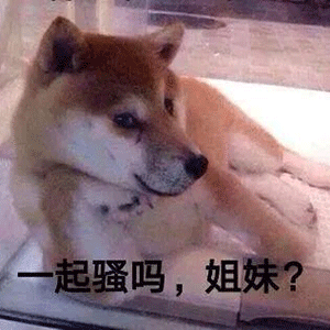 沙雕狗子表情包波兰