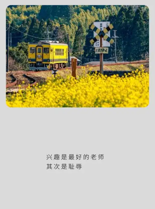  表情包放不下的只有筷子