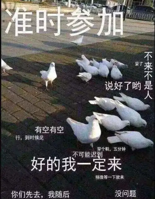  有没有哪种既沙雕又搞怪的朋友圈文案