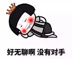  无聊龙武
