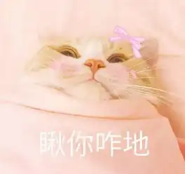  喵星人给你丢了个表情包你算哪块小饼干