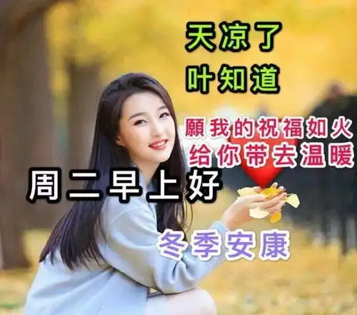  11月3日周二清晨早上好问候祝福动态表情图片11月最新早安问候祝福图片带字温馨