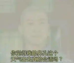 回本表情包雾霾