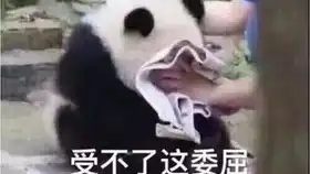顽皮表情包马神