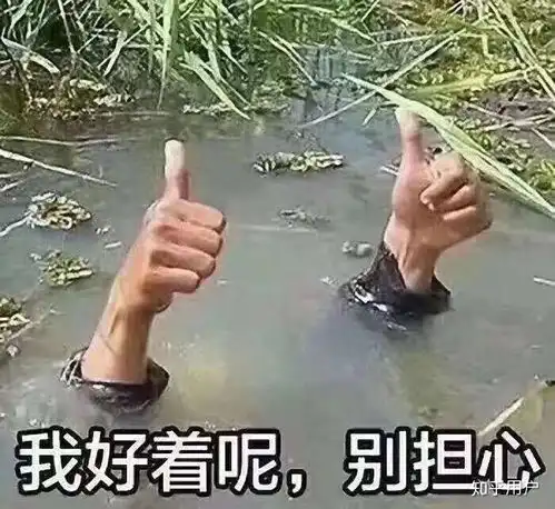  娘娘命是什么命
