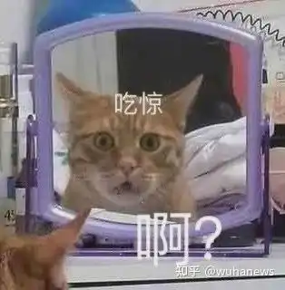  罗志祥苦肉计求复出夜光剧本女星男女皆可马甲线女星冻卵代孕
