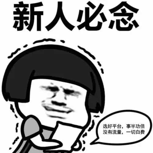  网文新人第一本书能赚多少钱哪个平台适合新人投稿