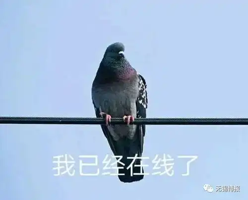  周末8级大风大暴雨来袭迎战安比,无锡今晚召开紧急会议