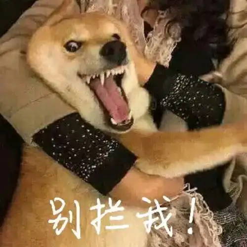  从阿里事件看职场酒文化,是破冰还是耍流氓