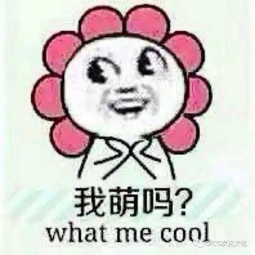  论那些年我们干过的蠢事