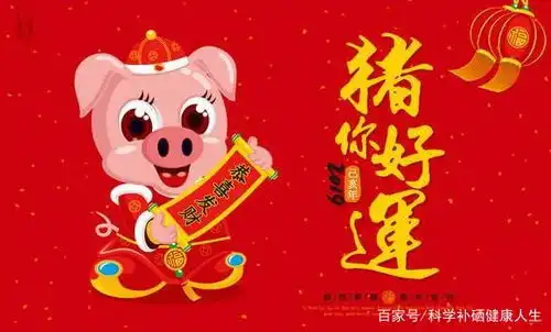  盛硒生物推出春节最佳礼品