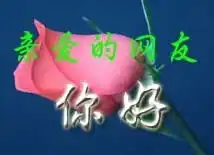  qq表情问候qq表情问候招呼亲爱的网友你好