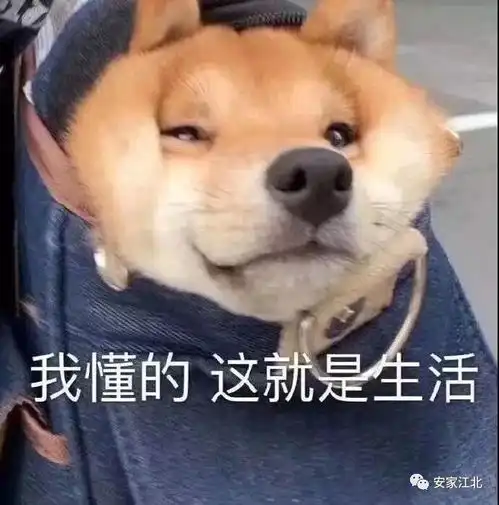  想你疫情过后,我第一个想见的是你