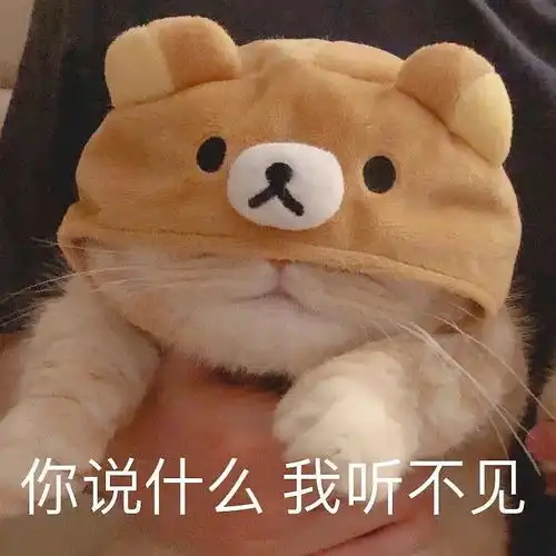 生气熊猫表情包动图猫粮