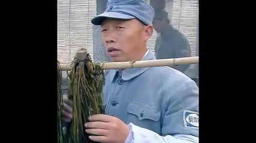  高级特工穿山甲传上